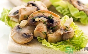 蘑菇和茄子能一起吃嗎？蘑菇和茄子一起吃會中毒嗎？