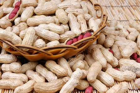 1448942564664733.jpg 20088713373795_2.jpg