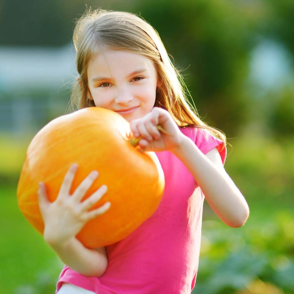 南瓜的功效與作用 南瓜豆腐羹的做法 南瓜的功效與作用 南瓜豆腐羹的做法