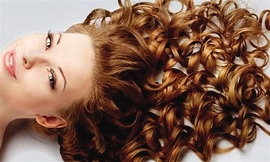 1449208424406535.jpg p5_s.jpg