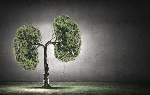 1449470091419960.jpg 318750-15061PFK553.jpg