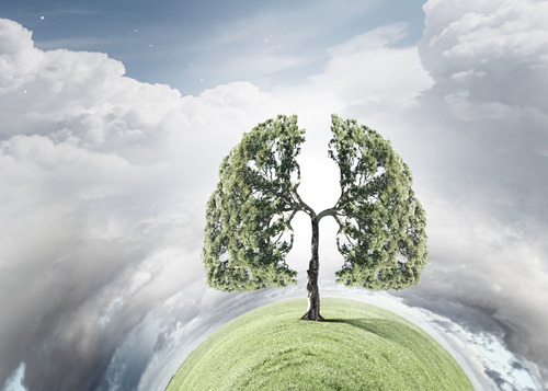 1449470095892701.jpg 240403-1505120K91848.jpg