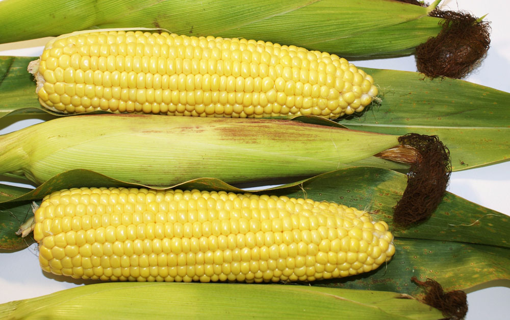 1449735801751257.jpg 235058-15020209551443.jpg