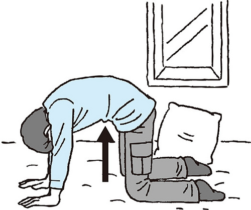 1449821138920885.jpg 21916805979_aee5df794d.jpg