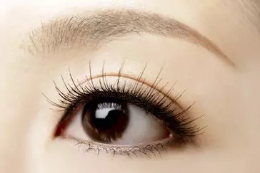 1450235098989154.jpg 4.webp.jpg