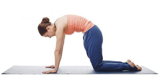 1450860778961407.jpg snap090.jpg