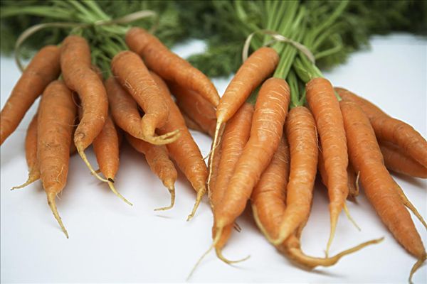 1451375564515345.jpg rad600-01616937.jpg