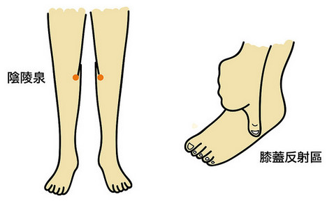 1452157796184169.jpg snap004.jpg