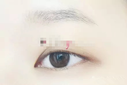 1452306158386874.jpg 1.webp.jpg