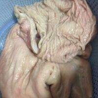 墨魚豬肚湯的功效作用?怎么制作? 墨魚豬肚湯的功效作用?怎么制作?