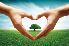 怎樣才能養(yǎng)好肝?中醫(yī)這樣認(rèn)為的 怎樣才能養(yǎng)好肝?中醫(yī)這樣認(rèn)為的