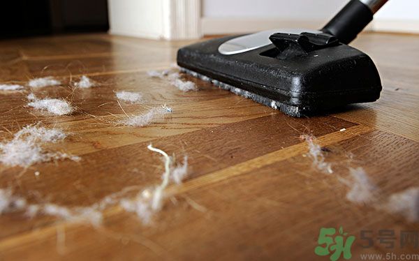 大掃除擰毛巾、擦窗戶 瘦手臂小技巧