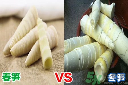 春筍和冬筍的區(qū)別有哪些?教你辨別春筍和冬筍 春筍和冬筍的區(qū)別有哪些?教你辨別春筍和冬筍