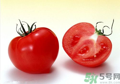 酒后頭暈吃西紅柿可以嗎?西紅柿能解酒嗎 酒后頭暈吃西紅柿可以嗎?西紅柿能解酒嗎