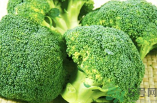 西蘭花的根莖能吃嗎?西蘭花的根莖可以吃嗎?.png 西蘭花的根莖能吃嗎?西蘭花的根莖可以吃嗎?.png