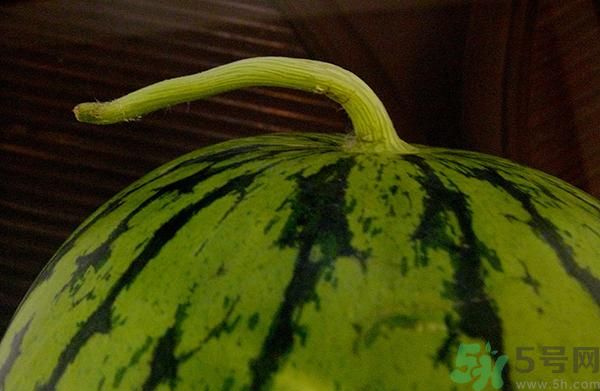 吃西瓜可以豐胸嗎 吃西瓜能不能豐胸 吃西瓜可以豐胸嗎 吃西瓜能不能豐胸