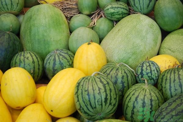 吃西瓜可以豐胸嗎 吃西瓜能不能豐胸 吃西瓜可以豐胸嗎 吃西瓜能不能豐胸