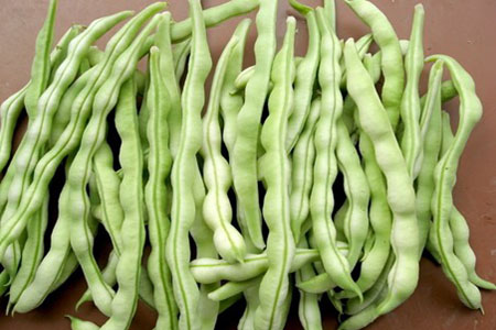 四季豆沒煮熟會吃了中毒?怎樣辨別四季豆熟沒熟 四季豆沒煮熟會吃了中毒?怎樣辨別四季豆熟沒熟