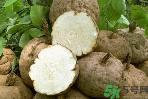 胸部發(fā)育秘密方法,過了發(fā)育期胸部也能發(fā)育哦 胸部發(fā)育秘密方法,過了發(fā)育期胸部也能發(fā)育哦