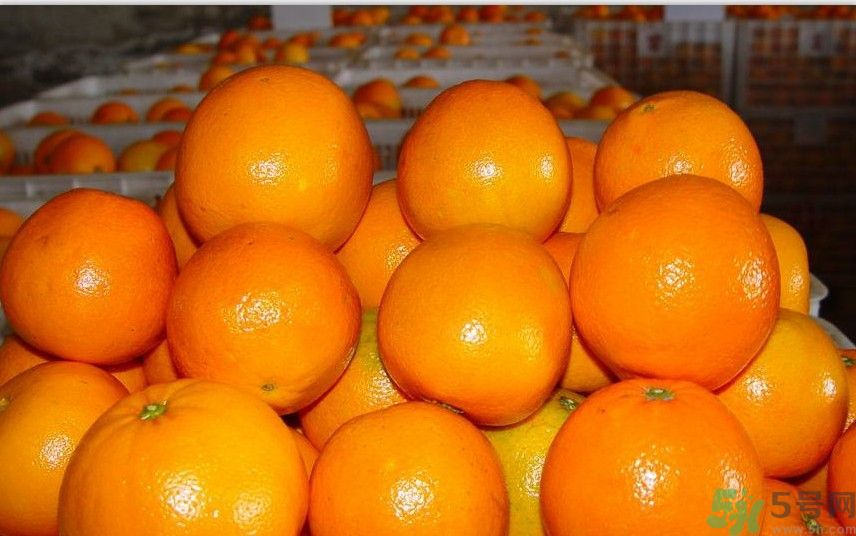 橙子發(fā)霉還能吃嗎?橙子發(fā)霉吃了怎么辦 橙子發(fā)霉還能吃嗎?橙子發(fā)霉吃了怎么辦