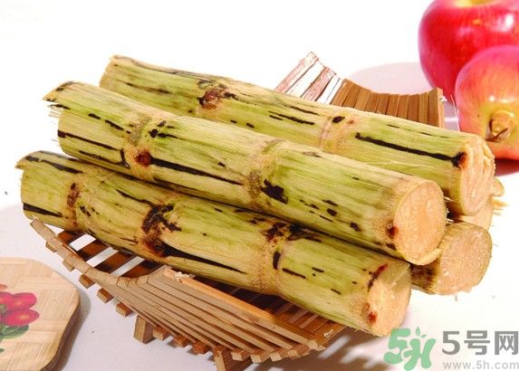 甘蔗孕婦可以吃嗎 甘蔗孕婦可以吃嗎