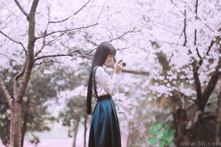 看櫻花人太多了怎么辦?武大櫻花女神教你賞花攻略 看櫻花人太多了怎么辦?武大櫻花女神教你賞花攻略