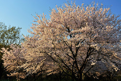 1456448602816203.jpg 2685384_002115875220_2.jpg