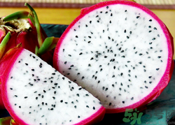 吃火龍果能治便秘嗎?吃火龍果可以通便嗎.png 吃火龍果能治便秘嗎?吃火龍果可以通便嗎.png