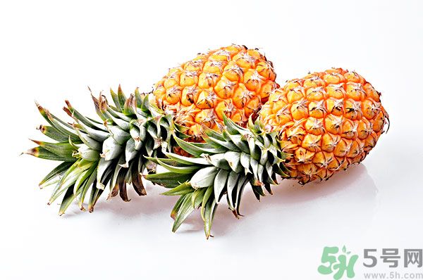 芒果和菠蘿能一起吃嗎？芒果和菠蘿一起吃好嗎？