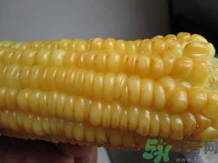 煮熟的玉米怎么保存?煮熟的玉米能放多久 煮熟的玉米怎么保存?煮熟的玉米能放多久