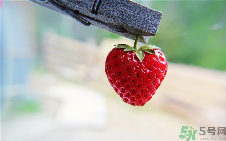 如何辨別草莓有沒有打膨大劑？如何清洗草莓才干凈？