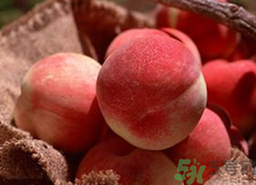 孕婦能吃桃子嗎?孕婦一天可以吃多少個(gè)桃子? 孕婦能吃桃子嗎?孕婦一天可以吃多少個(gè)桃子?