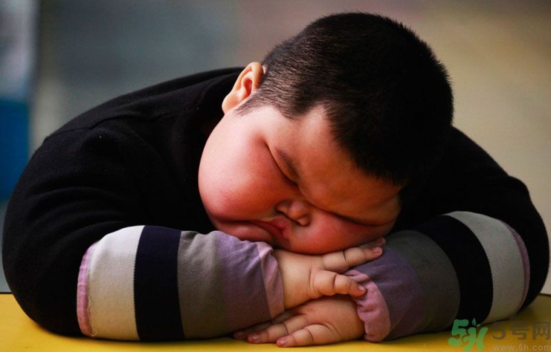 長(zhǎng)得太胖有人要嗎？ 要怎么才能找到女朋友？