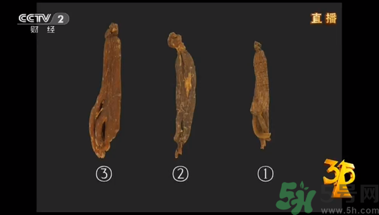 紅參怎么挑選？紅參摻糖怎么辯解？