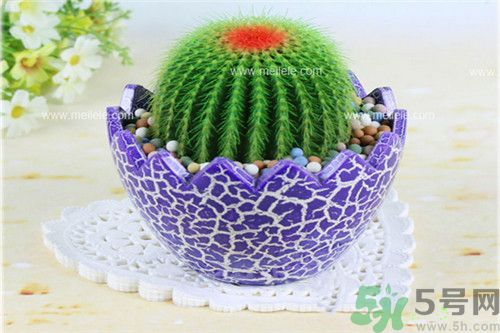 吃海帶可以防輻射嗎?常吃什么食物抗輻射比較好？