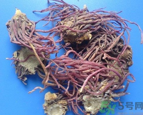 紫菀的功效和作用是什么？紫菀的用法用量是多少？