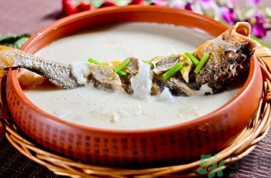 煲魚湯怎么去腥？家常魚湯做法有哪些？