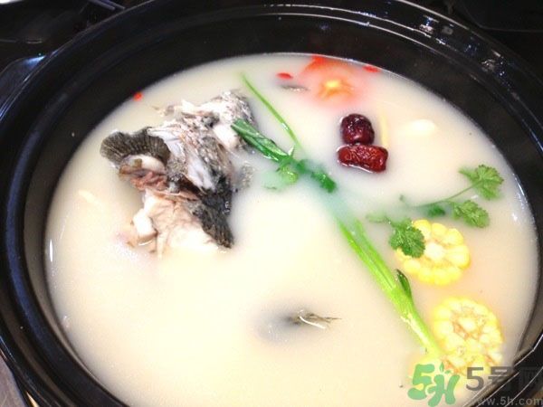 煲魚湯怎么去腥？家常魚湯做法有哪些？