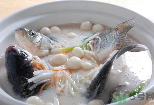 煲魚湯怎么去腥？家常魚湯做法有哪些？