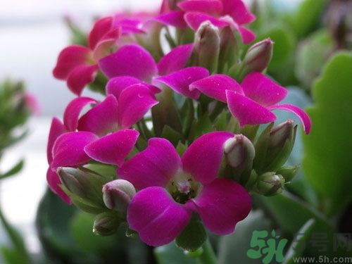 從身體特征看出你是否長(zhǎng)壽？要長(zhǎng)壽學(xué)要做這些？