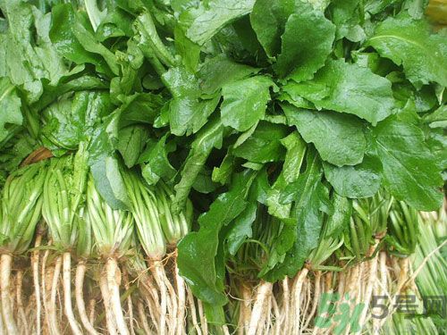 薺菜是發(fā)物嗎？薺菜是不是發(fā)物？