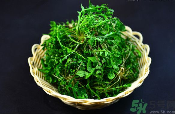 薺菜根能吃嗎？薺菜要去根吃嗎？