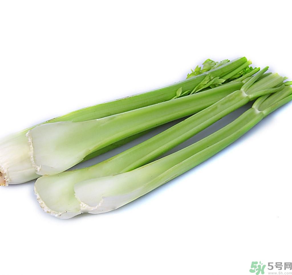 芹菜可以減肥嗎？芹菜有什么功效？