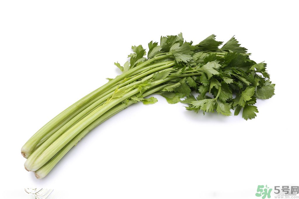 芹菜可以減肥嗎？芹菜有什么功效？