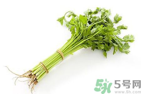 芹菜可以減肥嗎？芹菜有什么功效？