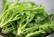 薺菜為什么要焯水？薺菜要用開水燙嗎？
