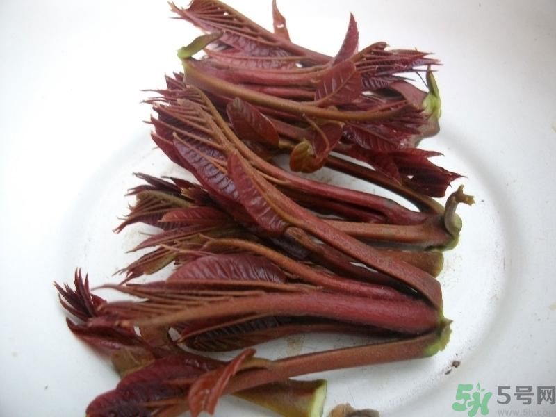 香椿好吃嗎？香椿可以做菜嗎？