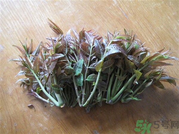 香椿怎么吃才安全？吃香椿的最佳時(shí)間是什么時(shí)候？