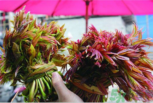 香椿怎么吃才安全？吃香椿的最佳時(shí)間是什么時(shí)候？