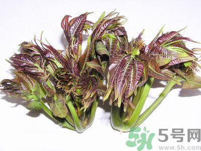 吃香椿有什么好處？香椿可以預(yù)防疾病嗎？